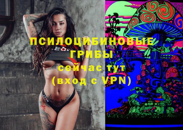 эйфоретик Алзамай